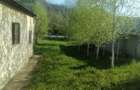 Casă cu 4 camere cu Teren 2134 Mp în Răzvad - 3