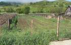 Vand teren in sat ?mig, com. Alma, Jud .Sibiu. 1625 mp. - 6