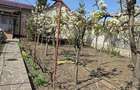 Vand schimb casa Sendreni - 10
