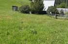 Teren 7 Hectare Brodina Suceava Par?ial Intravilan, Casa + Anexe, Zona de Munte | Ocazie - 1