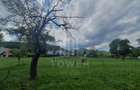 Teren de vanzare in Sibiel . - 2