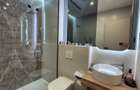 APARTAMENT 2 CAMERE DE INCHIRIAT IANCU NICOLAE - 17