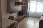 Apartament 2 camere Burdea - 4
