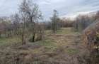 Gospodarie in com. Budesti - 2