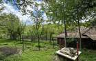 Vand casa in Jud Prahova 2800mp - 8