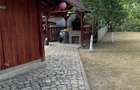 Casa de vanzare frumoasa - 5
