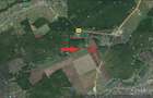 Teren pentru investitie 3 Ha in SNAGOV, pol de dezvoltare A3 A0, DESCHIDERE PADURE - 1