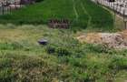 Teren de 2200 mp, în Brădești - 5