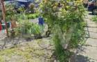 APARTAMENT DE INCHIRIAT 2 CAMERE STR LUNGA - 1