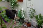 Apartament Corbeanca Petresti