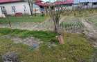 Casa localitatea Soreni Dolj teren 8481 mp - 6