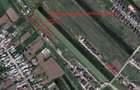 Teren de vanzare Domnesti - 5