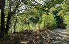 De vanzare teren 11500 mp partial intravilan