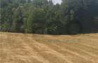 RECO, teren extravilan, Zona Sinteu, Bihor - 3