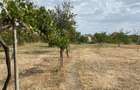 Casă cu 3 camere în Tileagd - 8