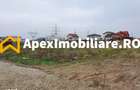 Catelu | Teren 5000MP | Intravilan | 15 Minute Metrou | OPORTUNITATE - 4