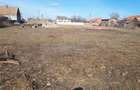 Vand teren in loc. Secusigiu 2900 mp,la sosea - 8