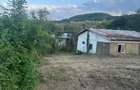 Proprietate 1.272 mp curte+ Casa 4 camere, utilita?i | Bu?tenari (Telega)