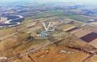 Oportunitate de investitie in Fagaras, judetul Brasov ferma activa - 2