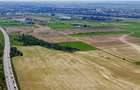 Teren 30 Hectare la Autostrada A1 Bucure?tiPite?ti | Km 34 |