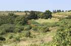 Teren Sorogari, 19000mp, 35euro/mp