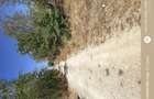 Vand casa in Loc Draut jud Arad