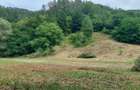 Vand teren +casu?a in zona de munte - 5