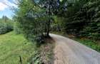 Teren investitie 8635 mp extravilan , Pestera Brasov - 8