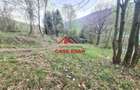 Teren intravilan in Valea Doftanei - Parajul Paltinu--1000 mp--120e - 5