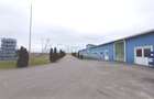 Spatiu industrial de vanzare in Biharia, hala 1200 mp si 23772 mp teren - 6