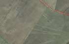 Teren agricol 42 Ha, comuna Gratia DJ 701 Teleorman - 2