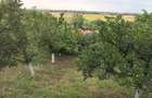 VANZARE CASA | DECOMANDATA | CENTRALA PROPRIE | ZONA DRAGODANA - 8