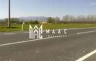 TEREN DE VANZARE I 8.700 MP cu front stradal de 160 I VESTEM I JUD. SI