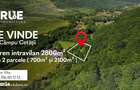 Teren intravilan 2.800 m2 in Campu Cetatii liniste si natura - 20