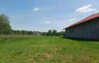 Teren 500 mp, Carcea, 120E/mp,toate utilitatile ! - 8