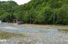 Teren intravilan 4000mp ideal investitii in apropiere de Colibita - 3