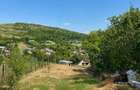 Uricani Iasi Doua Case in Una 108mp Ideala 2 Familii, 1330 mp teren - 3