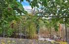 TEREN INTRAVILAN 706 MP – CUMPĂNA /ACCES DIRECT LA STRADA ASFALTATA