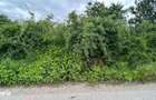 Teren sector 1 Centura DN1 Padurea Baneasa - 2
