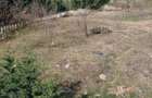 Apartament 2 camere cu grădină proprie de 50 mp - 10