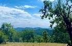 Domeniu forestier 50 ha | Privelisti spectaculoase | La 1 ora de Bucuresti | Investitie unica - 3