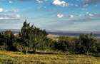 Teren Intravilan 7.593 mp | Pietroasa Mica, Buzau Panorama Spectaculoasa, Padure in Spate & Poten?