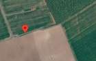 Teren 2.500 m Vladiceasca Snagov, acces DN1,