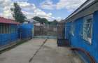 Vanzare casa - magazin - Licuriciu, Calinesti - Teleorman - teren 1400mp - 6