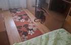 Apartament cu 2 camere semidecomandat în Valea Rosie - 3