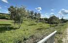 Vand casa mare+65 arii teren intravilan