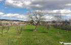 4898 MP Teren Intravilan | Prahova - Cornu De Jos | Toate Ut - 3