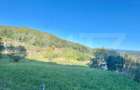 Teren de vanzare, 16 arii, zona Exterior-Nord - Bistrita (Bistrita-Nasaud)