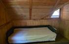 Cabana Iezer Ighiel panorama superba, liniste si potential de inve - 10