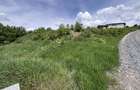 Comision 0% Teren intravilan 959mp | Front 40m| Str. Viorelelor Dezmir - 4